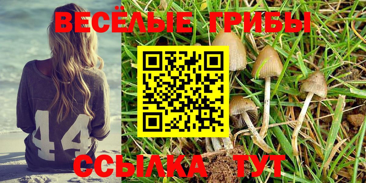Галлюциногенные грибы ЛСД Великий Новгород