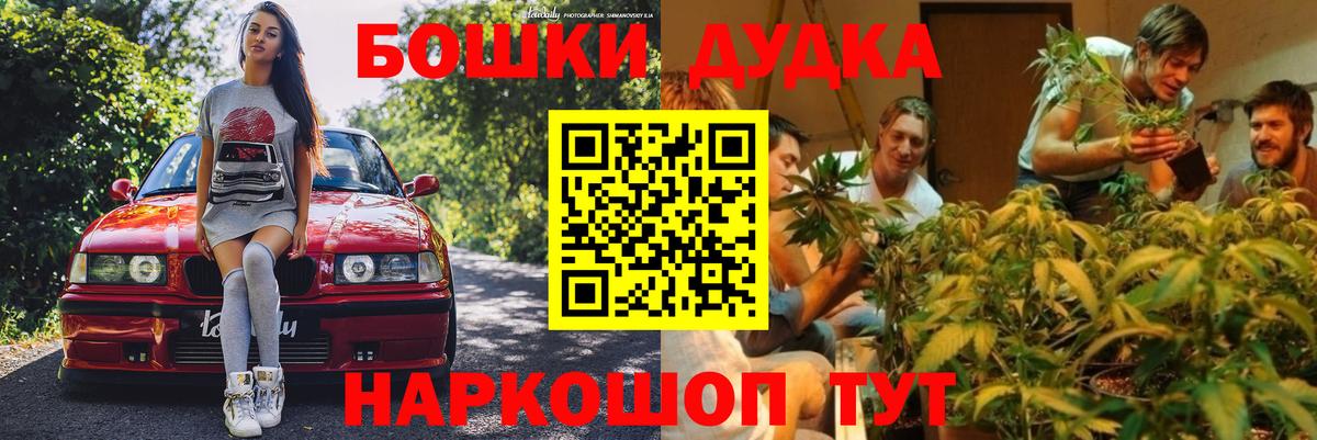 Бошки Шишки MAZAR Великий Новгород